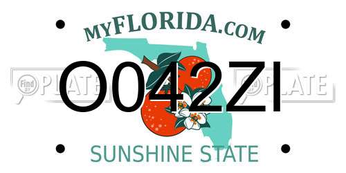 O042ZI Florida License Plate