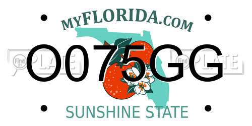O075GG Florida License Plate