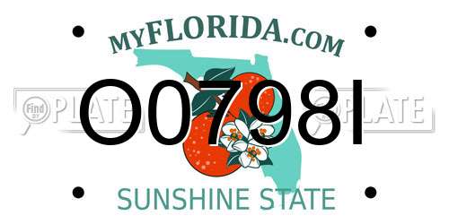 O0798I Florida License Plate