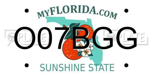 O07BGG Florida License Plate