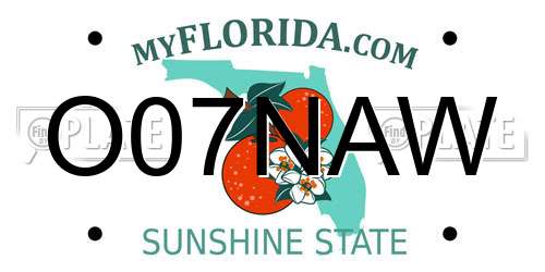 O07NAW Florida License Plate