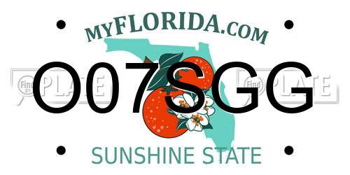 O07SGG Florida License Plate
