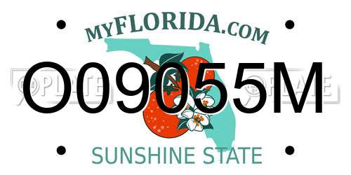 O09055M Florida License Plate