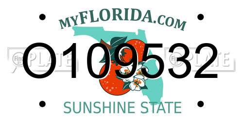 O109532 Florida License Plate
