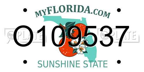 O109537 Florida License Plate
