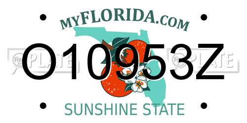 O10953Z Florida License Plate