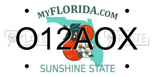 O12AOX Florida License Plate