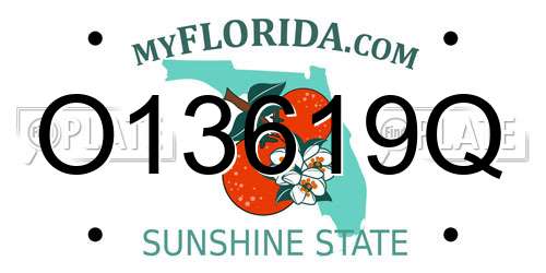 O13619Q Florida License Plate