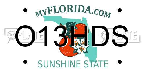 O13HDS Florida License Plate