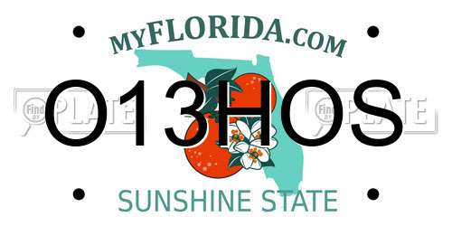 O13HOS Florida License Plate