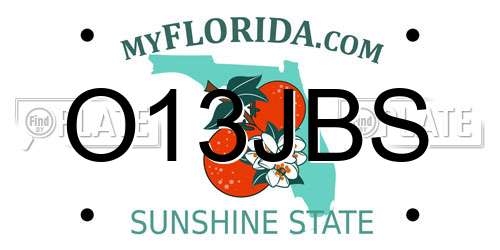 O13JBS Florida License Plate