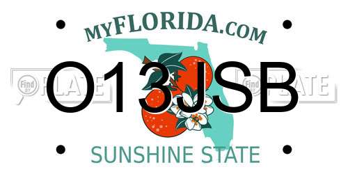 O13JSB Florida License Plate