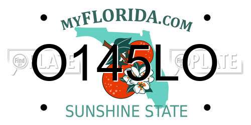O145LO Florida License Plate