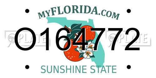 O164772 Florida License Plate
