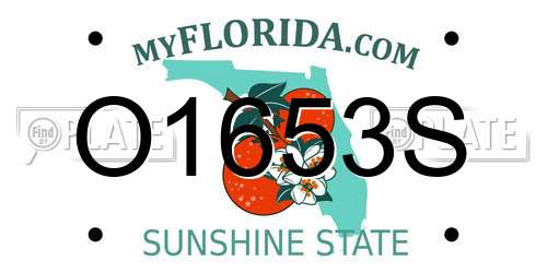 O1653S Florida License Plate