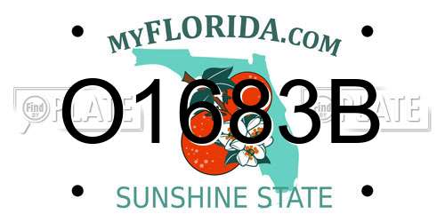 O1683B Florida License Plate