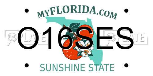 O16SES Florida License Plate