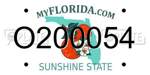 O200054 Florida License Plate