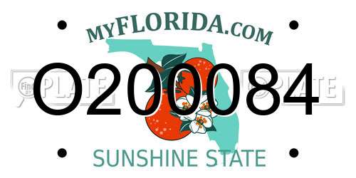 O200084 Florida License Plate