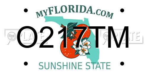O217TM Florida License Plate