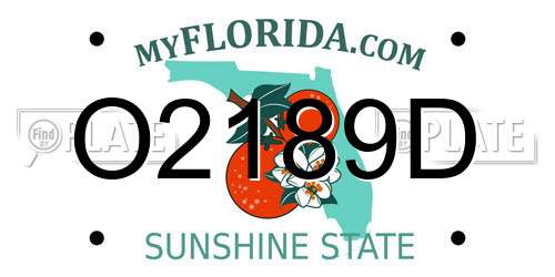 O2189D Florida License Plate