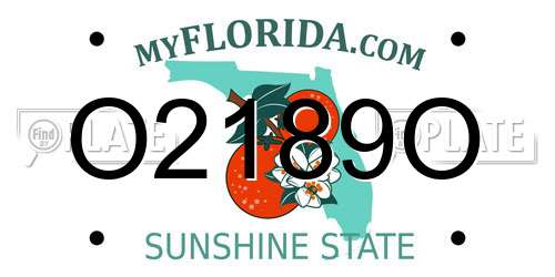 O2189O Florida License Plate