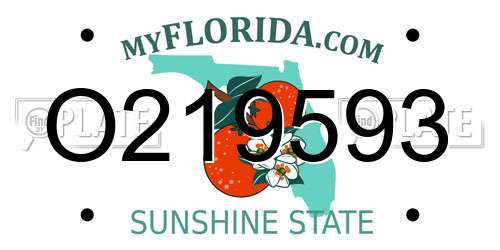 O219593 Florida License Plate