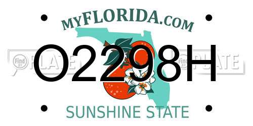 O2298H Florida License Plate