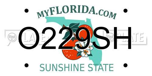O229SH Florida License Plate