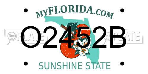 O2452B Florida License Plate