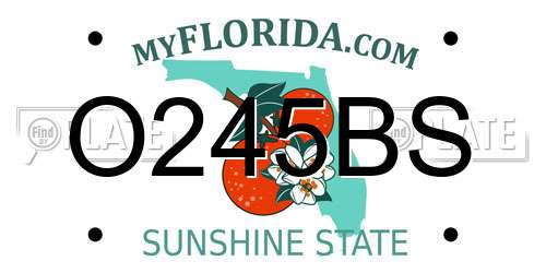 O245BS Florida License Plate