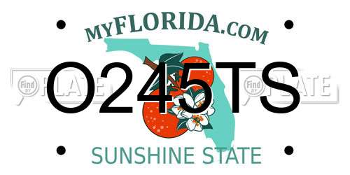 O245TS Florida License Plate