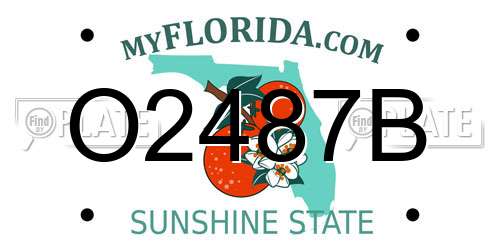 O2487B Florida License Plate