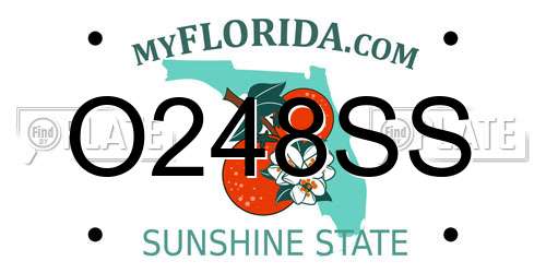 O248SS Florida License Plate