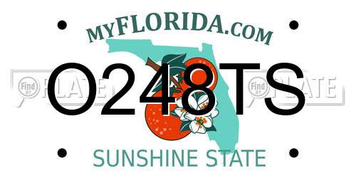 O248TS Florida License Plate