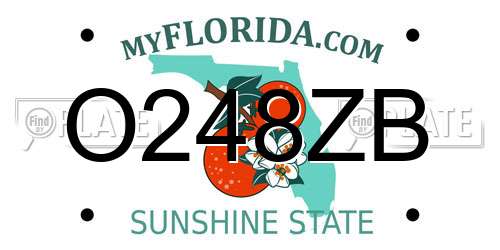 O248ZB Florida License Plate