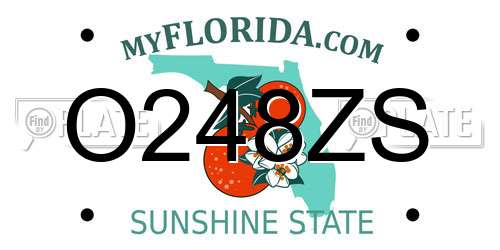 O248ZS Florida License Plate