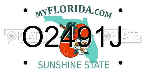 O2491J Florida License Plate
