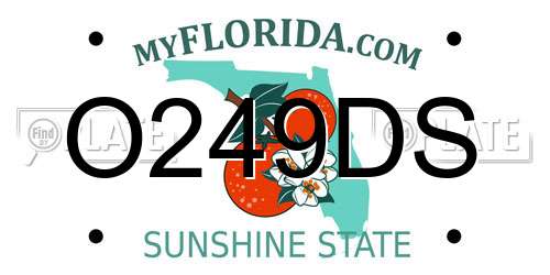 O249DS Florida License Plate