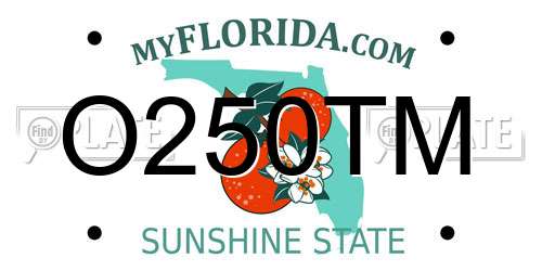 O250TM Florida License Plate