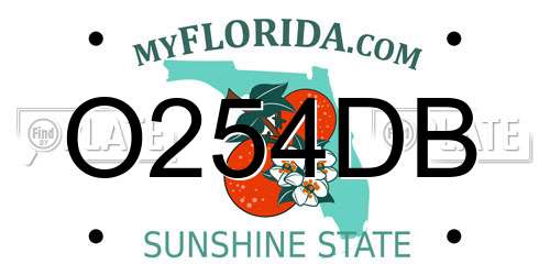 O254DB Florida License Plate
