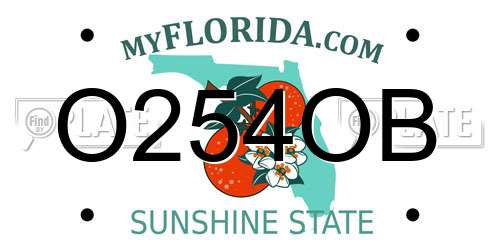 O254OB Florida License Plate