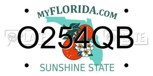 O254QB Florida License Plate
