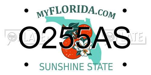 O255AS Florida License Plate