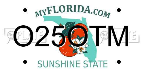 O25OTM Florida License Plate