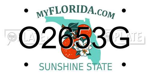 O2653G Florida License Plate