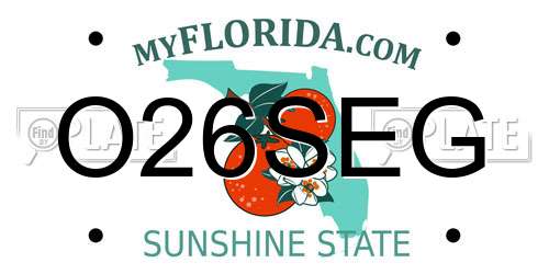 O26SEG Florida License Plate