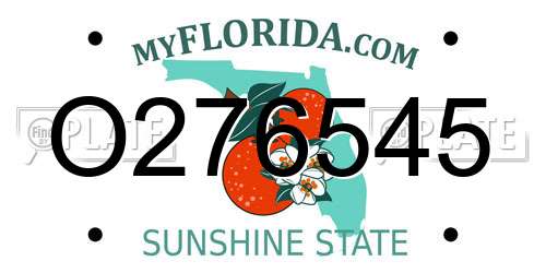 O276545 Florida License Plate
