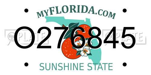 O276845 Florida License Plate