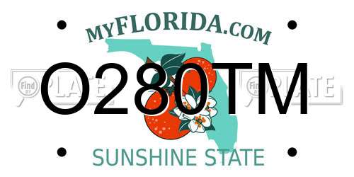 O280TM Florida License Plate